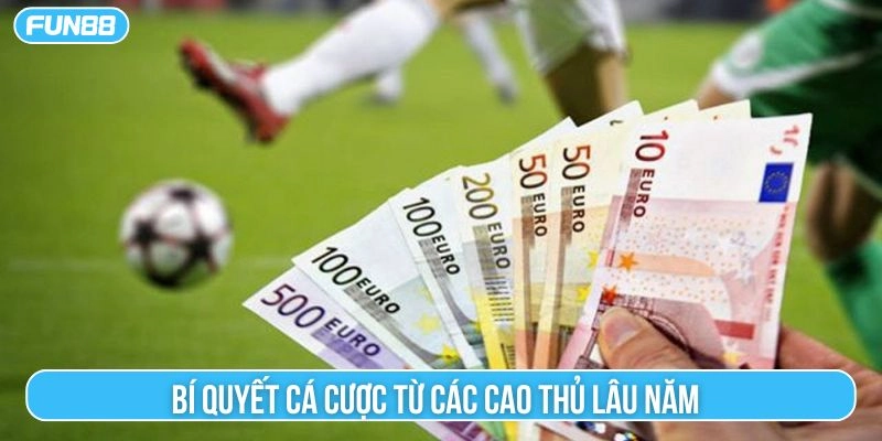 Bí quyết cá cược từ các cao thủ lâu năm 