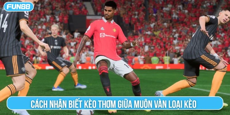 Cách nhận biết kèo thơm giữa muôn vàn loại kèo 
