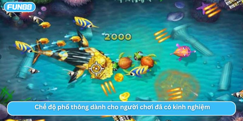 Chế độ phổ thông dành cho người chơi đã có kinh nghiệm 