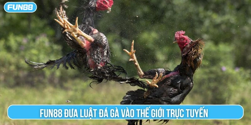 Fun88 đưa luật đá gà vào thế giới trực tuyến 