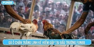 gà ô chân trắng