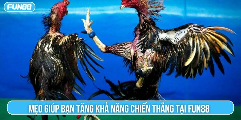 Mẹo giúp bạn tăng khả năng chiến thắng tại Fun88 
