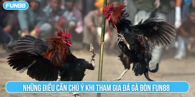 Những điều cần chú ý khi tham gia đá gà đòn Fun88 